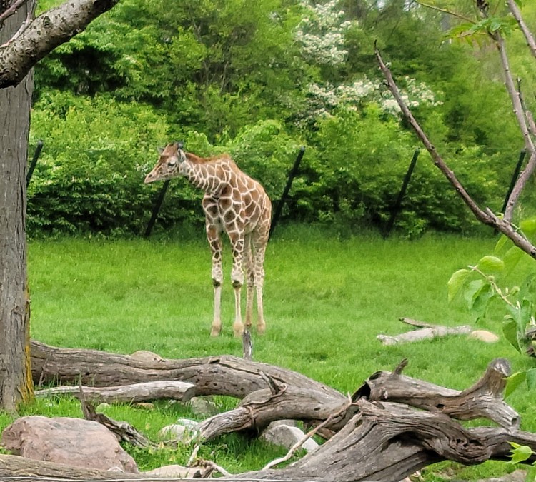 indianapolis-zoo-photo